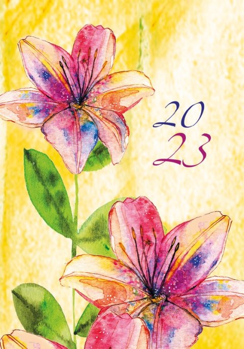 Terminarz Mikro 69x99mm 2026 Michalczyk i Prokop T-MIKRO-08 KALENDARZ